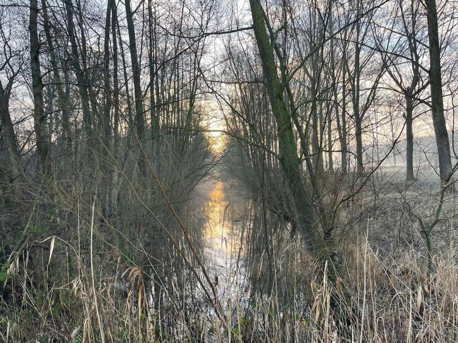 Houseboot Kingfisher, Lake View Biddinghuizen Exterior foto